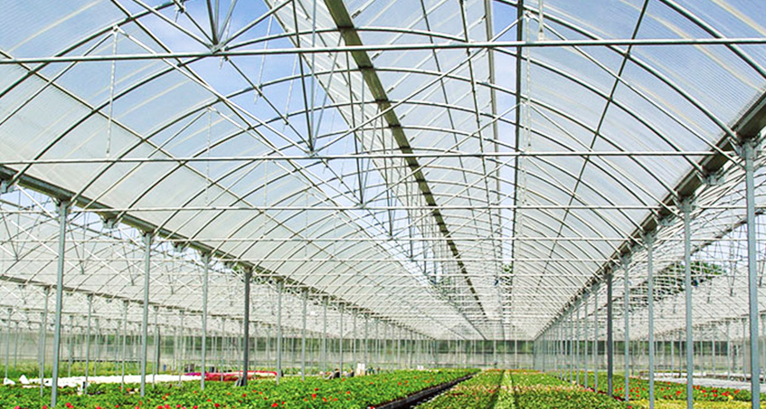 保定市生態(tài)園PC陽光板溫室